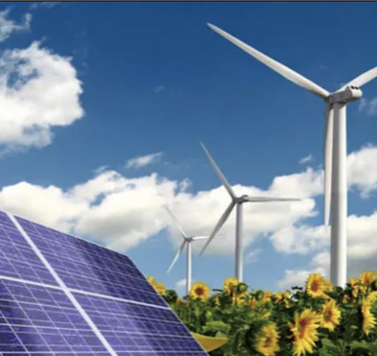 中實業績圖片整理_畫板 1 副本 6.jpg